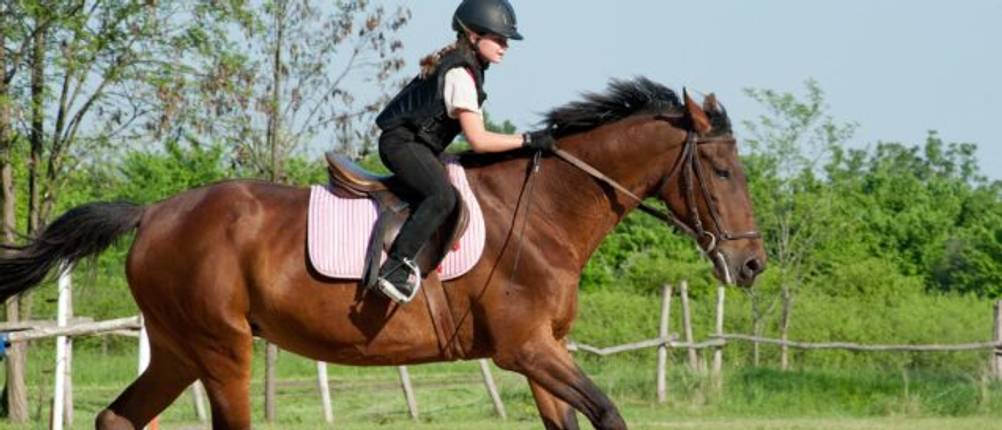Reithose-Kinder-Test: Ein Kind in schwarzer Reithose trainiert mit einem Pferd.