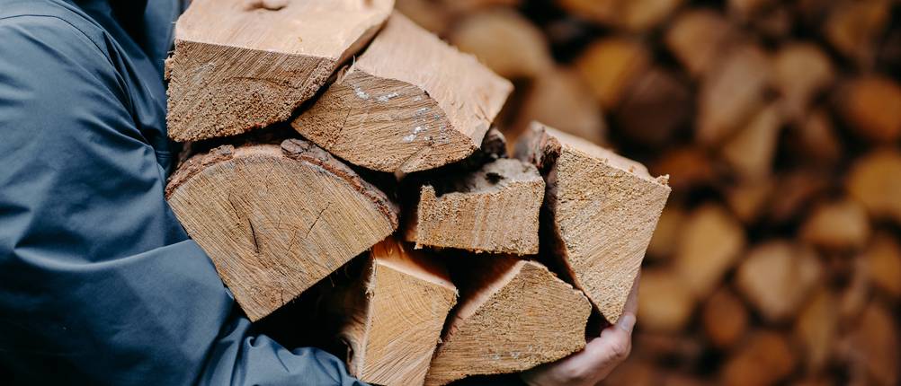 Brennholz im Test: Mann trägt Brennholz.