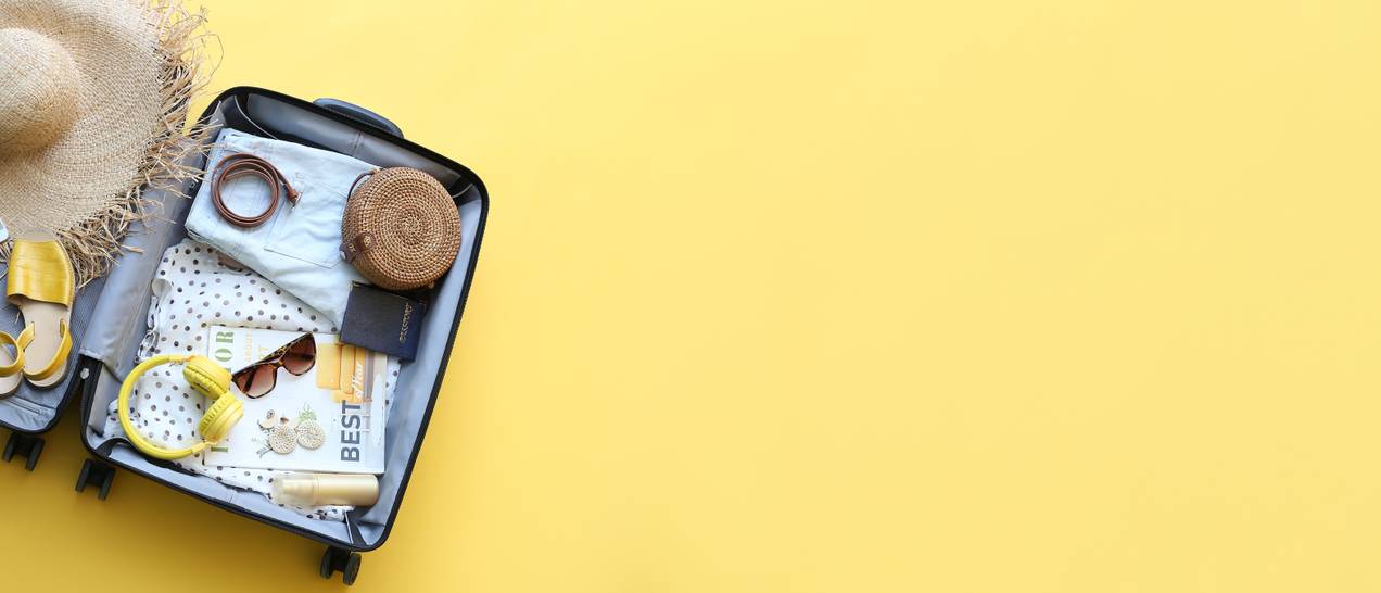 BricsTrolley Test & Vergleich » Top 9 im September 2024