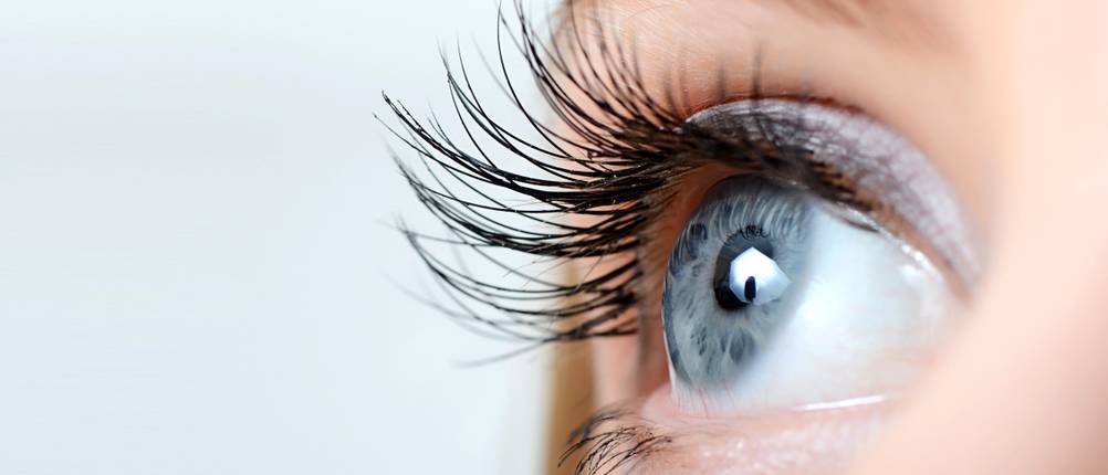 Brille Test