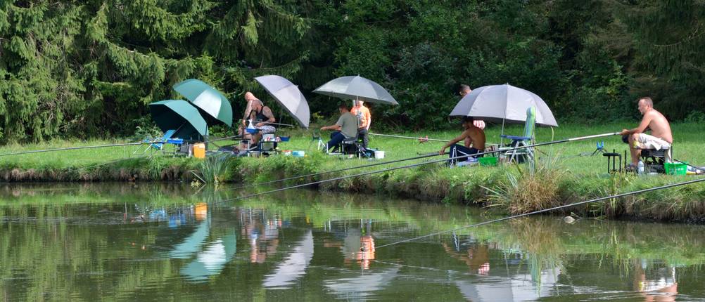 Brolly-Test