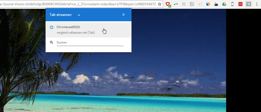 browser-schritt2c