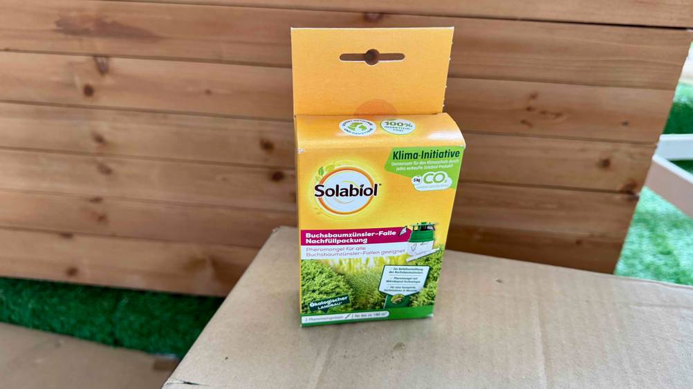 Buchsbaumzünsler-Falle getestet: Eine Packung auf einem Karton vor einer Holzkiste.