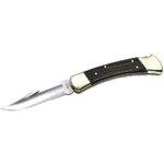 Buck-Messer im Test: das Buck-Taschenmesser 110 vor weißem Hintergrund