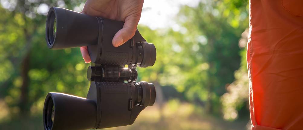 bushnell fernglas test 