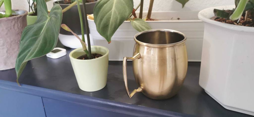 Im Test: Der Butlers Moscow-Mule-Becher
