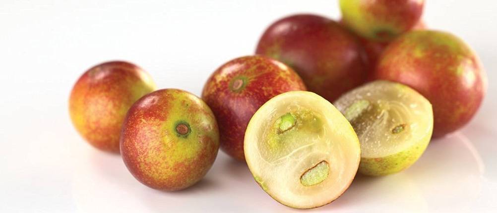 Camu Camu Test: Mehrere frische Camu-Camu-Beeren. 