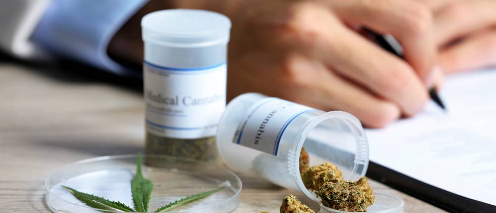 Anbieter für Cannabis-Rezepte im Test: Auf einem Tisch liegen verschiedene Cannabisblüten, daneben füllt ein Mann einen Fragebogen aus.
