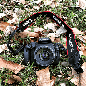 canon-digitalkamera-gras