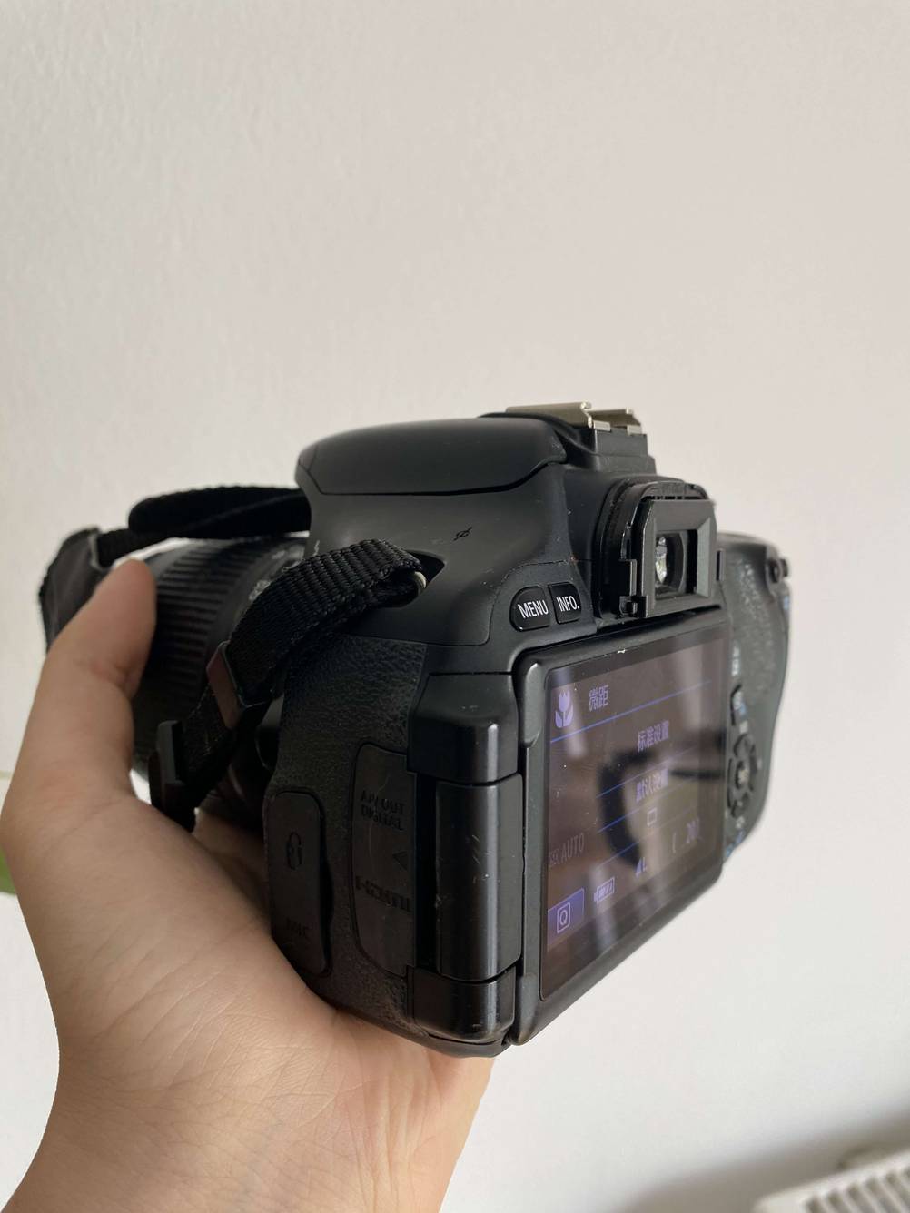Canon-Spiegereflexkamera getestet: Eine Hand hält die Seite des Gerätes vor eine helle Wand.