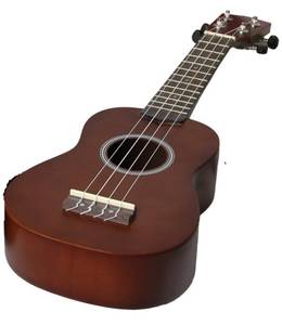 Ukulele im Test: Eine dunkelbraune Ukulele auf einem weißen Hintergrund.