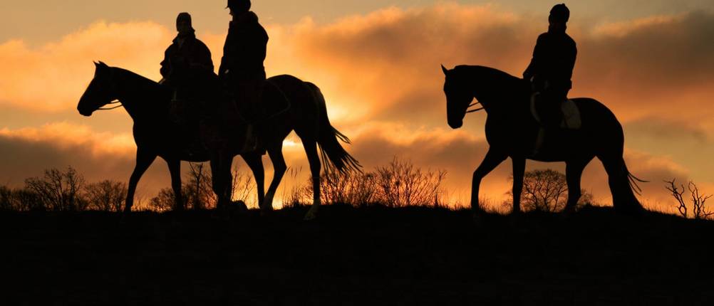 Casco-Reithelm-Test: Drei Reiter reiten im Sonnenuntergang.
