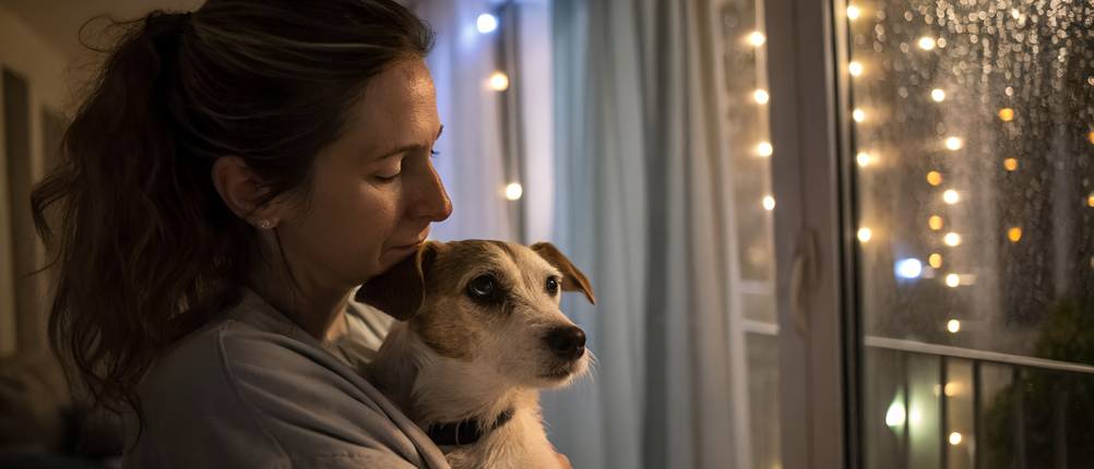 CBD-Öl kaufen: Ein Hund sitzt auf dem Arm einer Frau und schaut mit ihr aus dem Fenster.