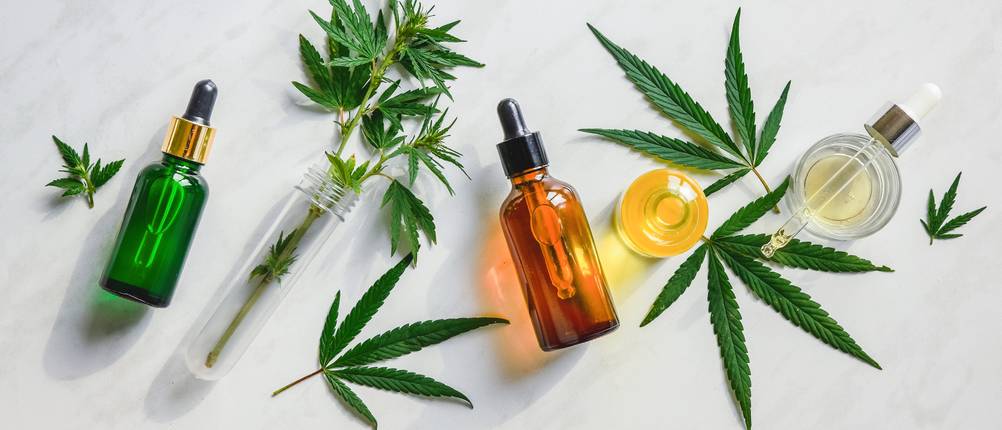 CBD-Öl kaufen: Verschiedene CBD-Öle und Hanfblätter liegen auf einer hellen Oberfläche.