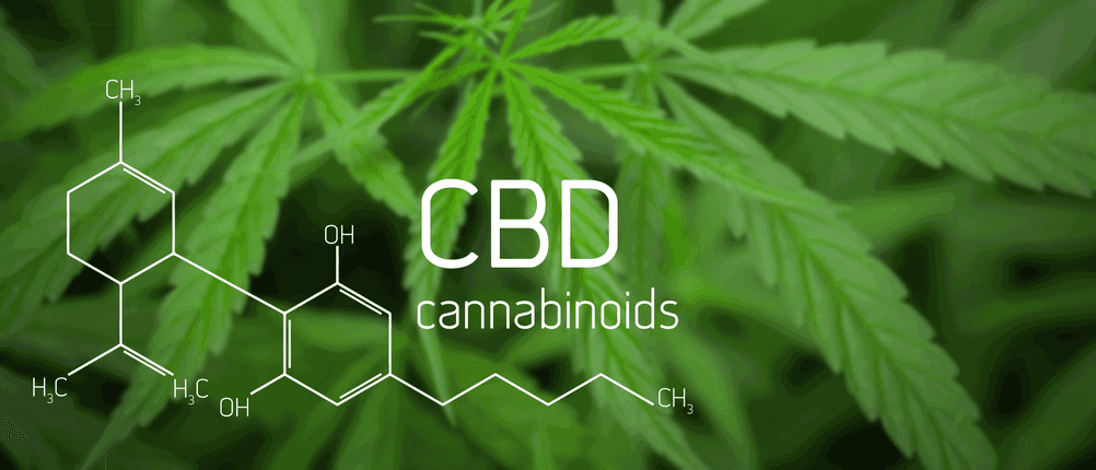 cbd-öl test cbd-öl testsieger cbd-öl kaufen günstiges cbd-öl kaufen