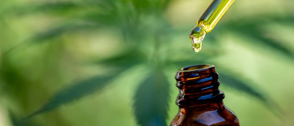 Kaufen von CBD-Öl: Jemand nimmt mit einer Pipette CBD-Öl aus einer kleinen Flasche.