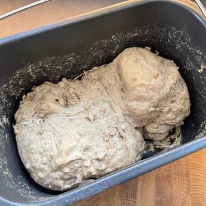 Fertiges Brot liegt im Behälter des Cecotec Bread&Co