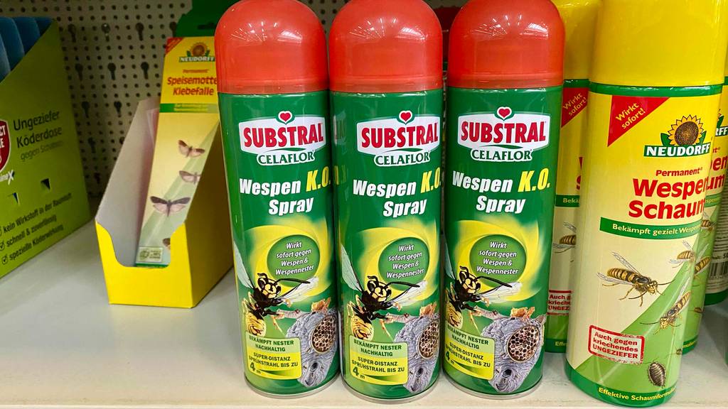 Mehrere grüne Sprühdosen mit rotem Deckel von Substral Celaflor beinhalten das Wespenspray im Test, das in einem Verkaufsregal mit anderen Ungeziefer-Bekämpfungsmitteln steht.