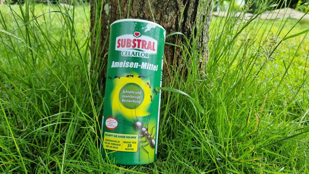 Getestetes Substral Ameisen-Mittel steht im Gras.
