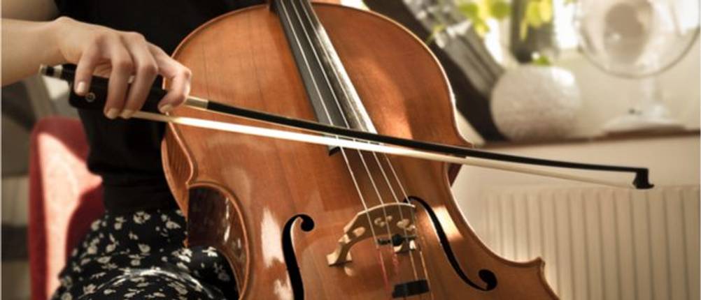 cellosaiten-test