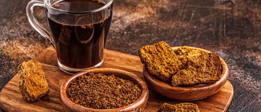 Chaga-Pilz-Test