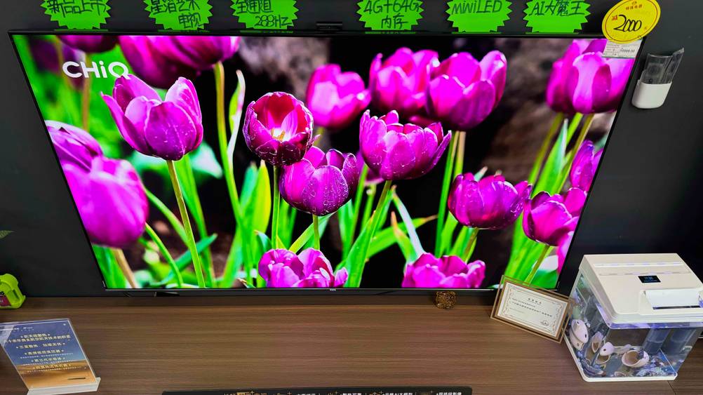 Auf getestetem CHIQ-TV sind Blumen abgebildet.