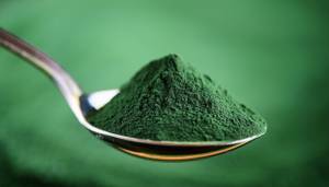 Chlorella-Pulver-Test: Auf einem Löffel befindet sich Chlorella-Pulver. 
