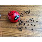 Cisixin-Mini-Staub-Reiniger mit Kaffeebohnen auf einem Tisch