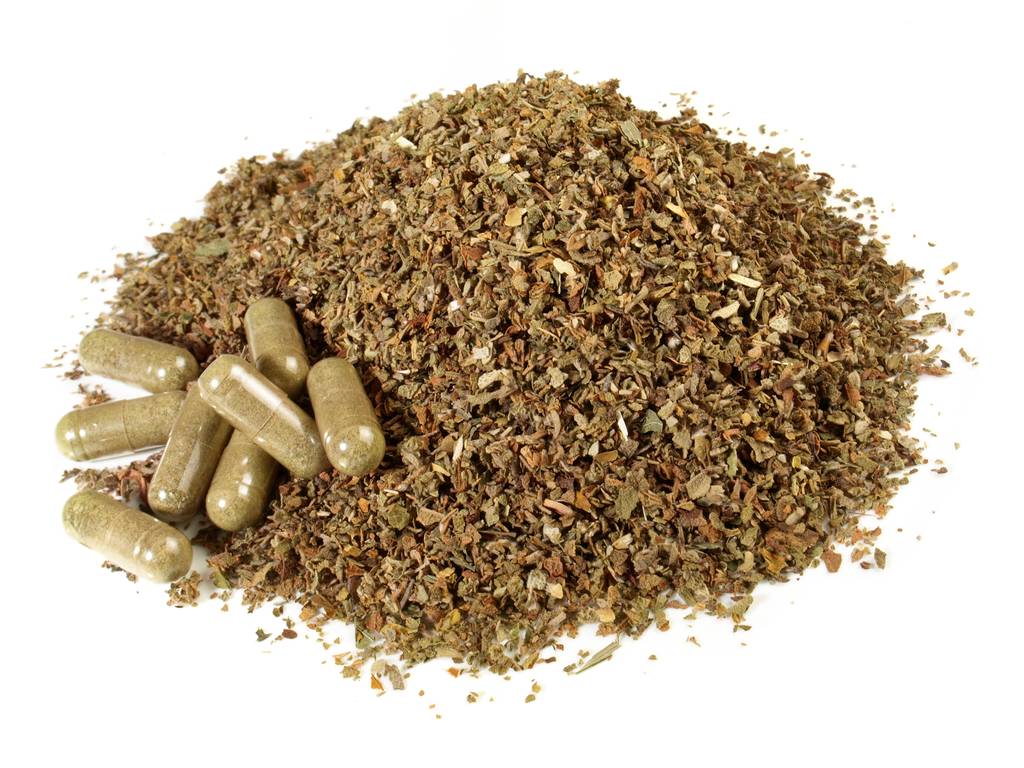 Cistus-Kapseln-Test: Neben getrocknetem Zistrosenkraut liegen Cistus-Kapseln. 