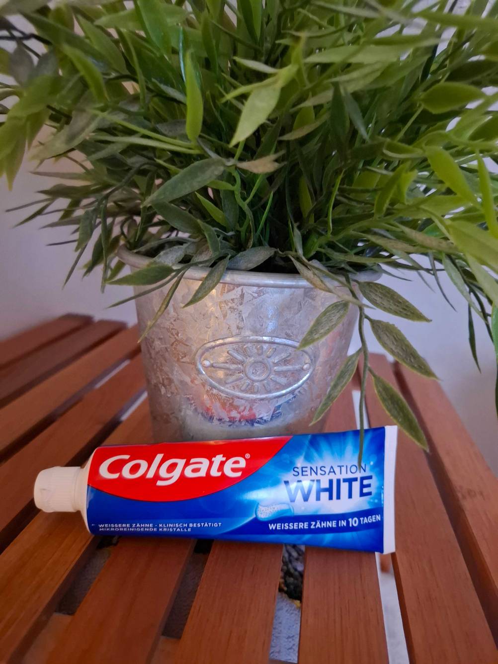 Whitening-Creme im Test: Eine Tube liegt vor einem Blumentopf.