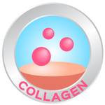 collagen