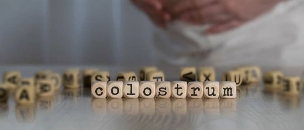 Colostrum-Test