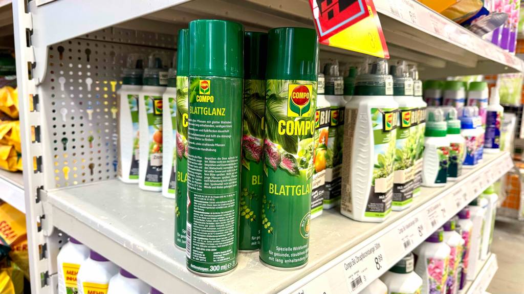 Eine Dose des getesteten Blattglanzsprays steht neben anderen Pflanzenschutzmitteln in einem Verkaufsregal.