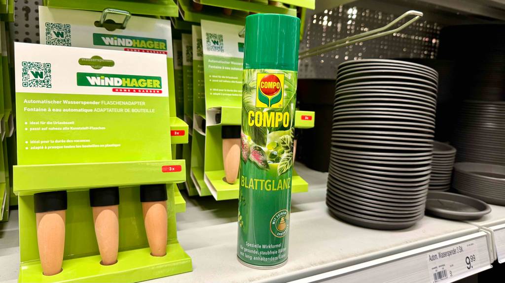 Eine Dose mit getestetem Blattglanzspray steht in einem Verkaufsregal neben Blumentöpfen.