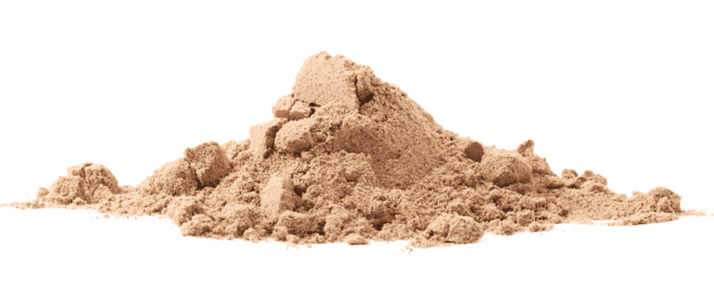 Cordyceps-Test: Cordyceps in Pulverform. 
