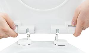 WC-Sitz mit Absenkautomatik Test