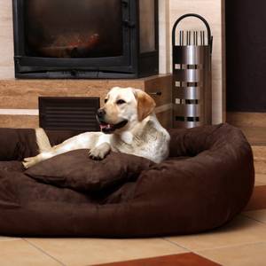 wenig-aktiver-hund