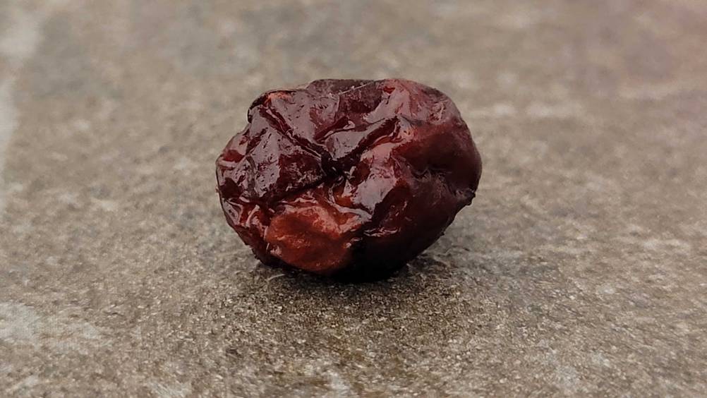 Cranberries getrocknet getestet: Nahaufnahme einer einzelnen Cranberrie auf einem grauen Untergrund.