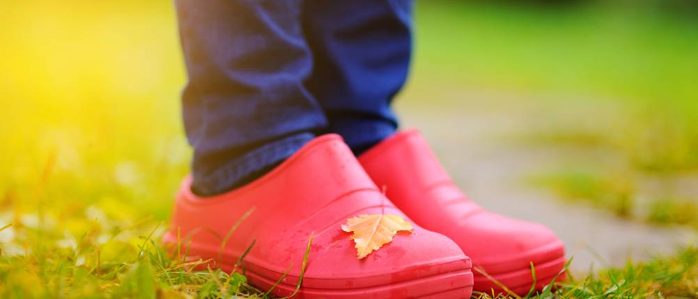 crocs-test