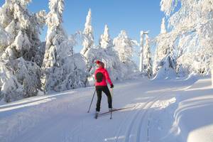 langlaufski cross country