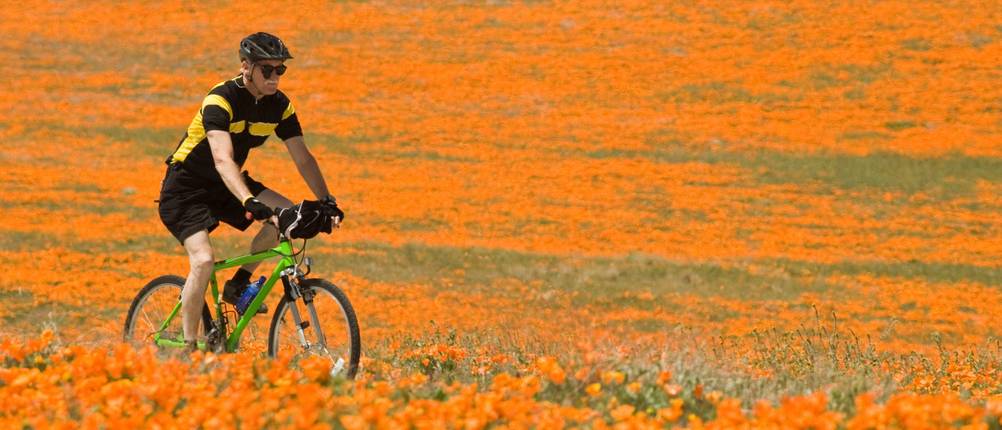 fitnessbike test