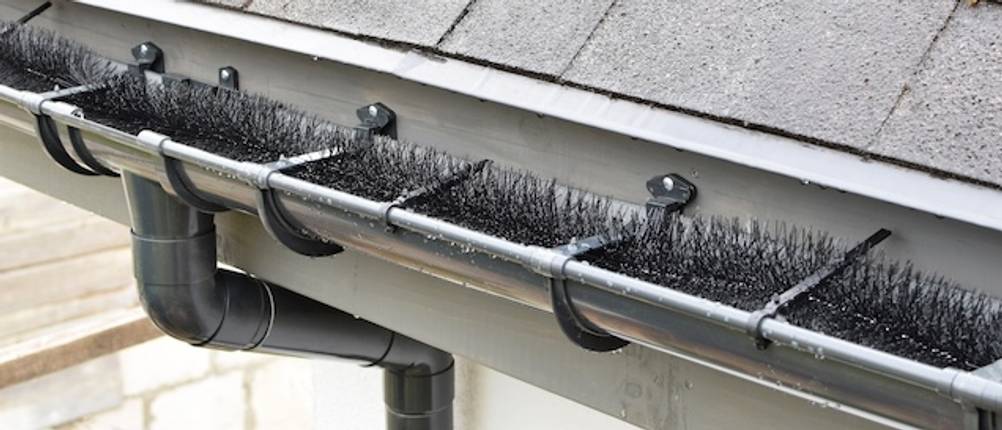 Nahaufnahme einer getesteten Dachrinne mit Borsten gegen Tauben.