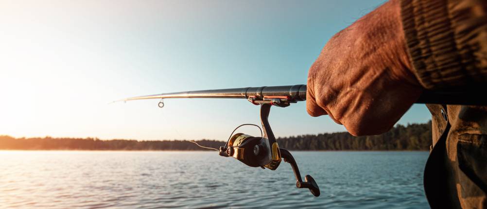 Daiwa-Multirolle-Test