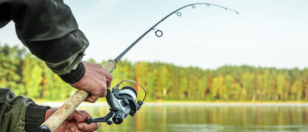 daiwa-spinnrute-test