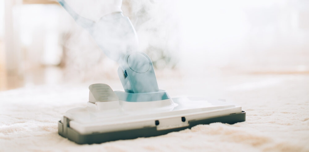 Dampfsauger auf einem Teppich