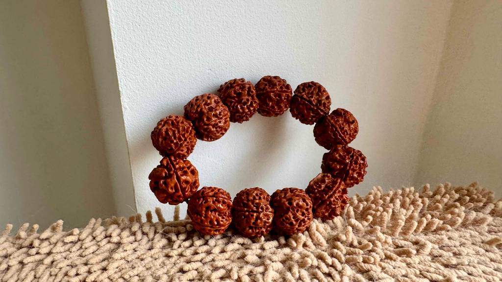 Eine getestete Rudraksha lehnt an einer weißen Wand.