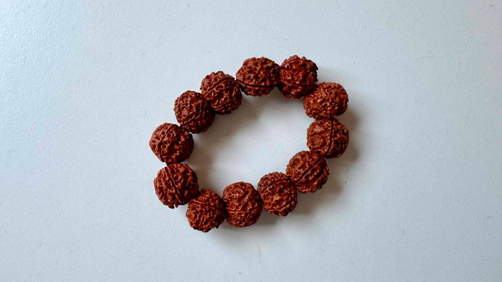 Ein Rudraksha im Test liegt auf weißer Fläche.