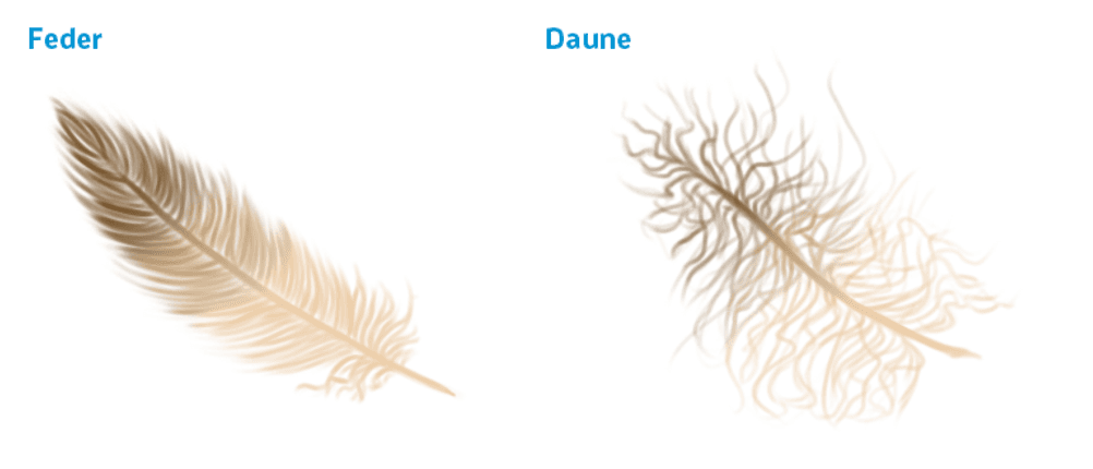 daunendecke 70x140