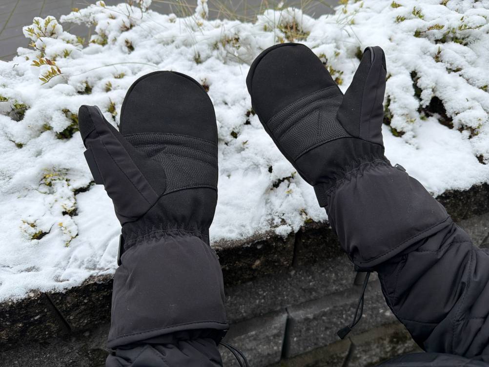 Die Handinnenflächen der Day Wolf DW67EL