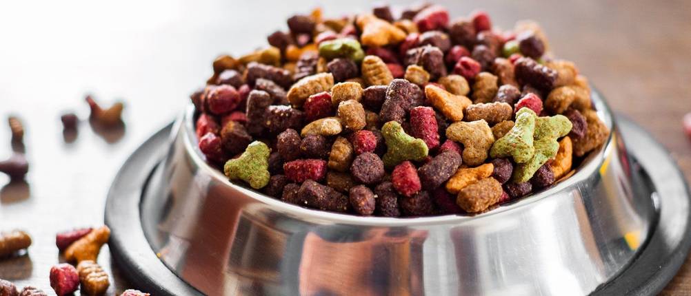 Dehner-Hundefutter-Test